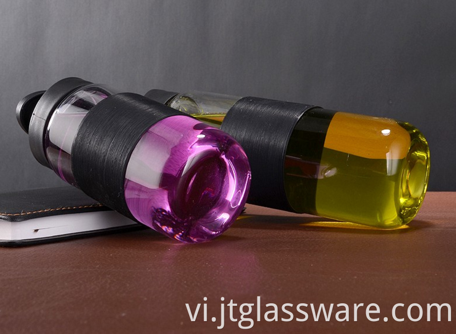 Portable Glass Water Bottle